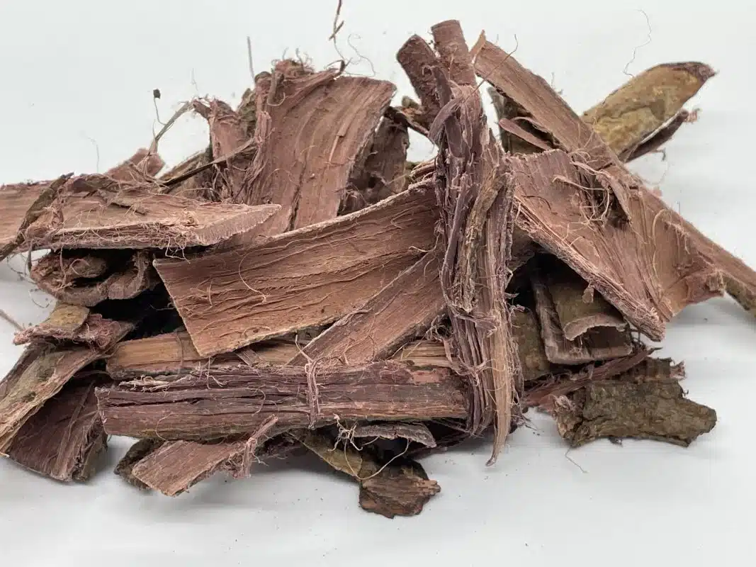 Botanical Alkanet Red Dye – Traditional Plant Pigment