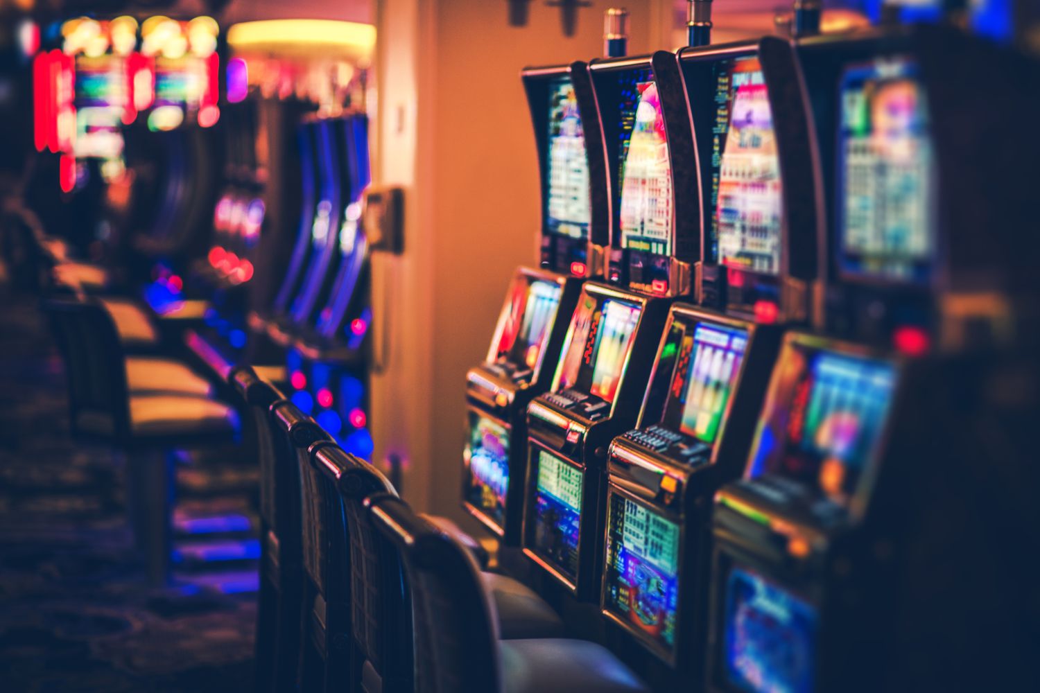 The Best Online Casinos South Carolina: Safe Gambling Options for 2025