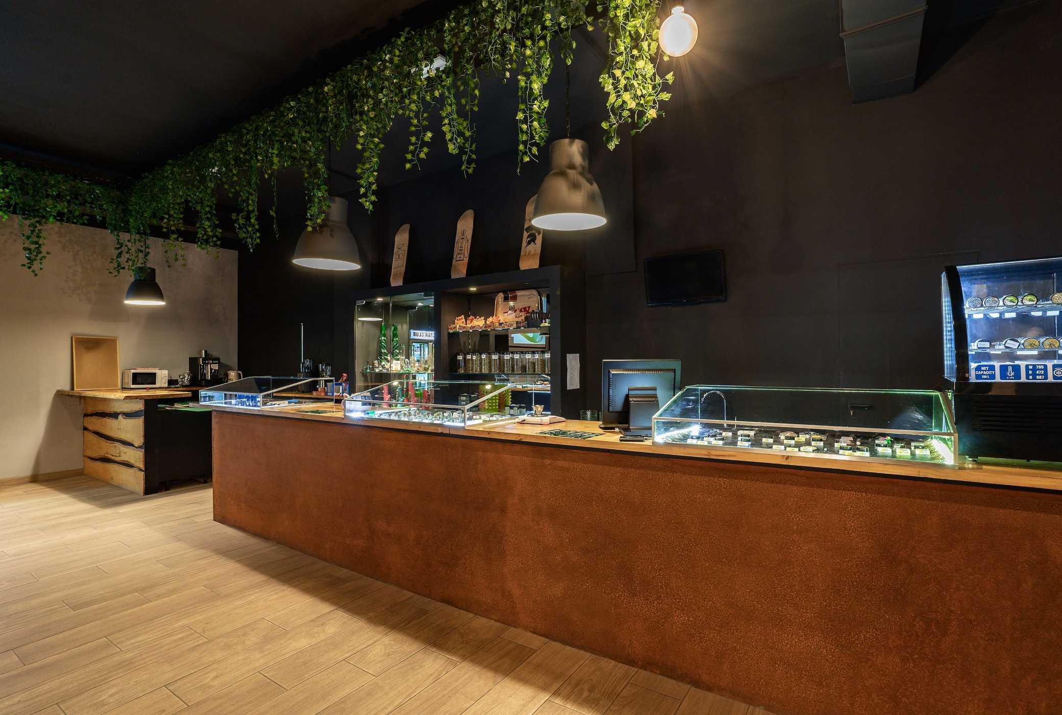 Weedmaps Madrid: Informations Pratiques pour les Visiteurs Étrangers