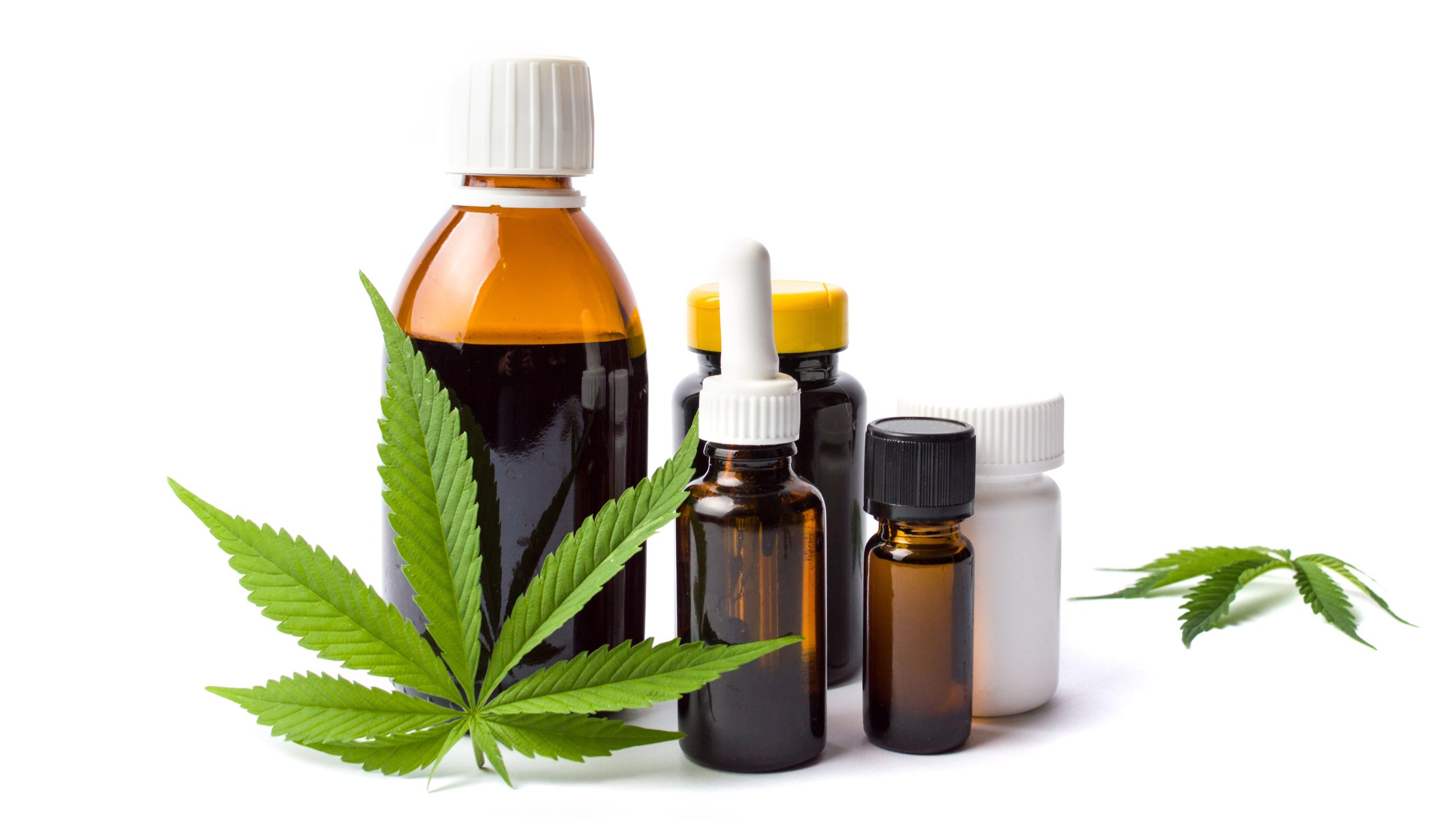 Csc hamburg – Hochwertiges Cannabis aus Hamburg